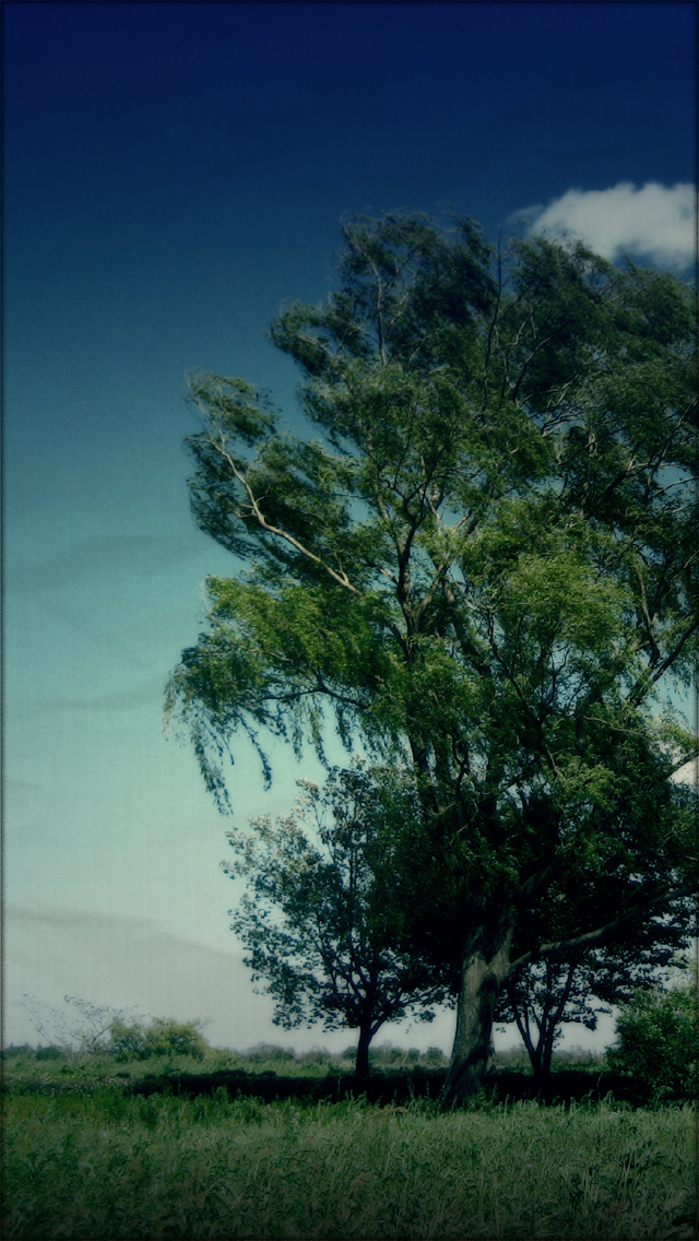 Iphone5写真 青系の風景 空壁紙